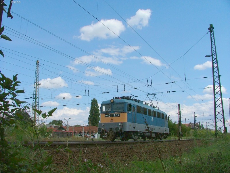 V43 1257 Városligeti elágaz fotó