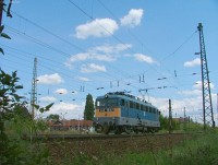 kép