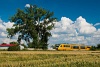 An unidentified RegioJet Desiro  seen between Lehnice and Ve'lk Paka