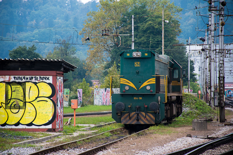 A SŽ 664 116 Laibach állomáson fotó