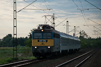 kép