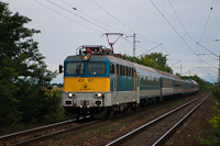 kép