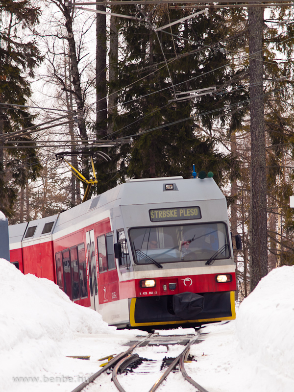 The ZSSK GTW 425 955-2 in the High Tatras at  Felsőhgi station (Vysn Hgy, Slovakia) photo