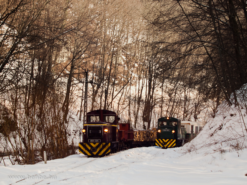 The LEV freight train with D02-508 is overtaken by a regular passenger hauled by D02-501 at Fazola-koh (former jmassa-Őskoh) station photo