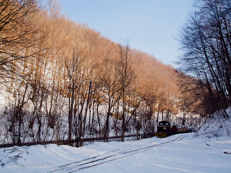 The LEV freight train with D02-508 at Fazola-koh station photo