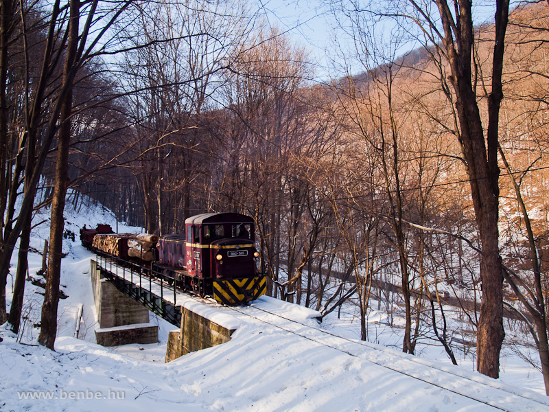 The LEV D02-508 hauling a freight train across the Savos-vlgy viadukt photo