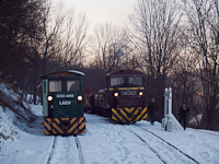 The D02-508 and C02-408 at Paprgyr station