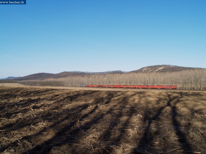 A V43 with a freight train near Szárliget photo