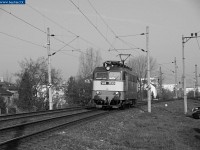 kép