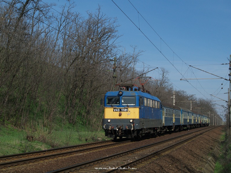 V43 1181 Martonvsrnl fot