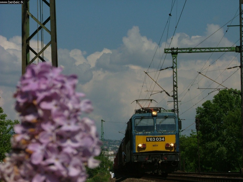 V63 034 Budafoknál fotó