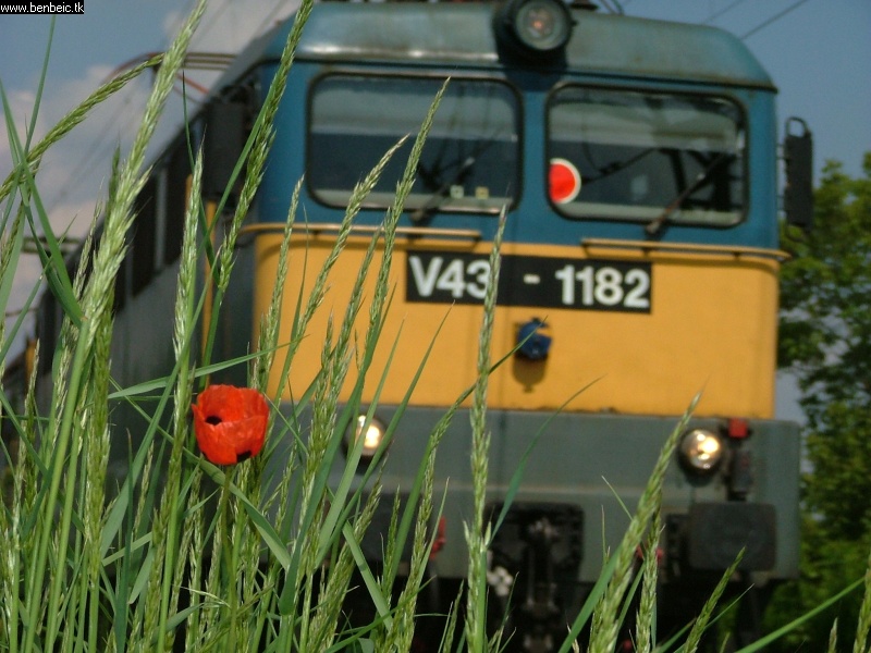 V43 1182 Budafokon fotó