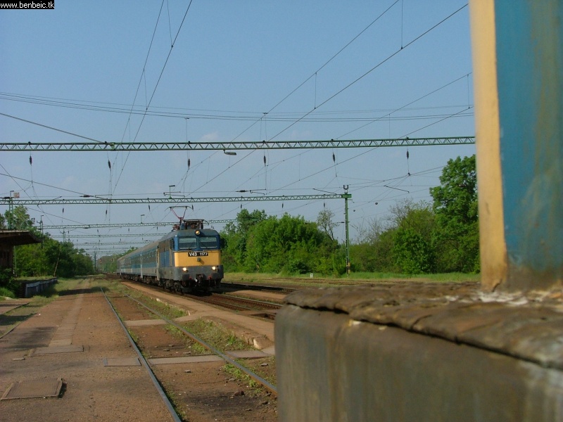 V43 1177 Martonvásáron fotó