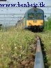 BDt 316 Martonvásáron