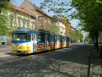 Short Bengali-renaissance at Szeged