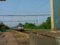 kép