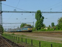 kép
