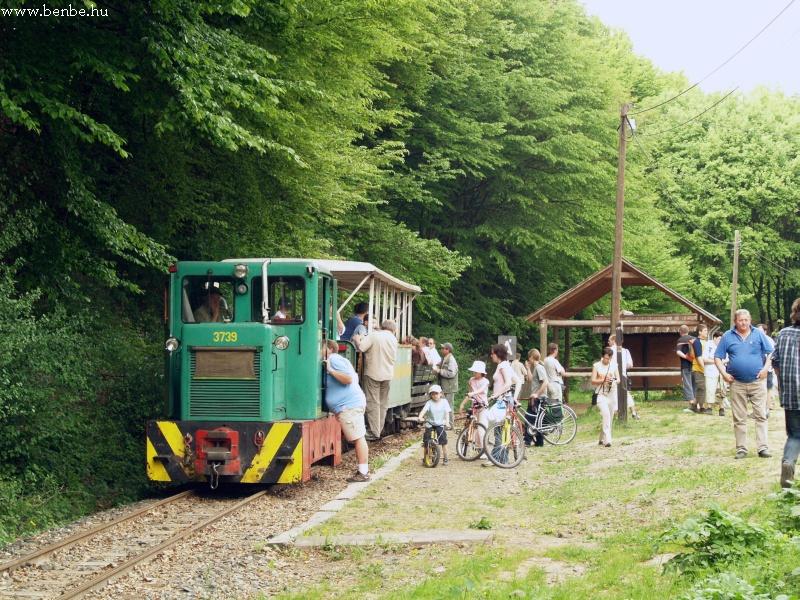 Kis vonat másfél kocsival d fotó
