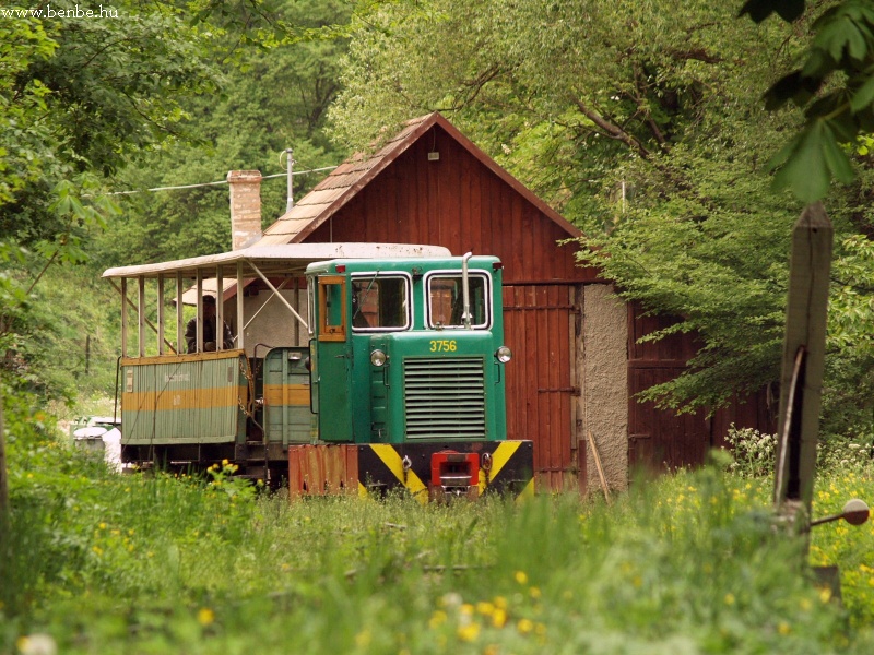 The railway yard looks more like a romantic park photo