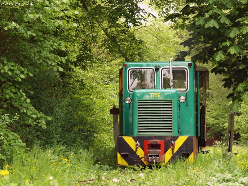 It’s only the first metre of track but still it’s like if the little train would emerge from the deepest of the forest photo