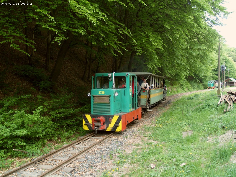 Egyszerre áll be mindkét sz fotó