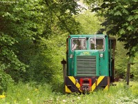 It’s only the first metre of track but still it’s like if the little train would emerge from the deepest of the forest