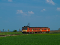 kép