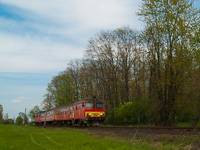 kép