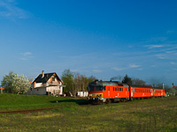 kép