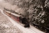 The ČHŽ U34 804 seen between Čierny Balog and Vydrovo Skanzen