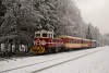 The ČHŽ TU45 001 seen between Vydrovo and Korytrske