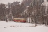 The ČSD M240 0039 seen between Zbojsk and Tisovec-Bnovo