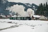 A CFF Moldovita-Mocanita Hutulca 764 431 <q>Bucovina</q> Rasca és Argel között