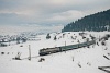 The CFR Calatori class 40 0369-5 seen hauling the InterCity Hargita (Brasov - Budapest) between Izvoru Oltului and Izvoru Muresului