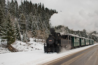 The CFF Moldovita-Mocanita Hutulca 764 431 <q>Bucovina</q> seen between Rasca and Argel