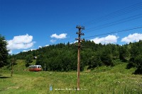 A 905-ös pályaszámú Malaxa sínbusz Vatra Moldovitei és Dragosa között