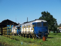 The 60 1165-4 at Sighetu Marmatiei depot