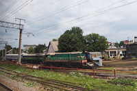kép
