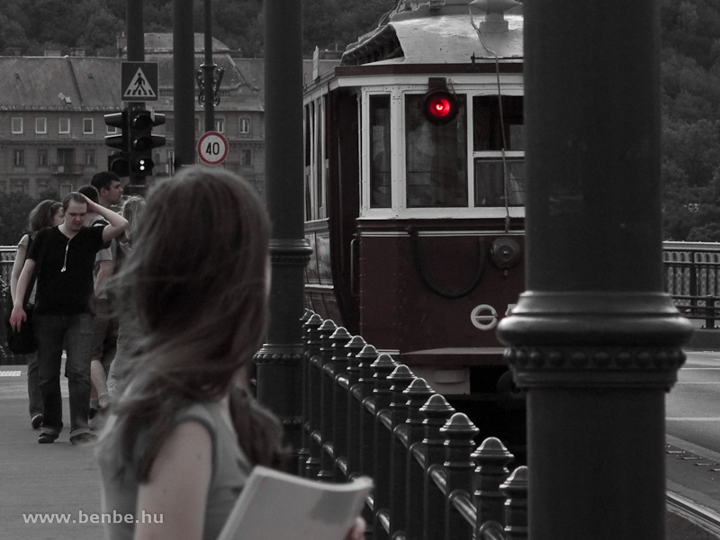 Everyone had a look at the historic tram photo
