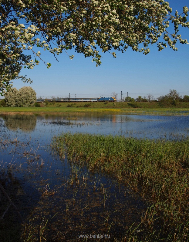 The 1047 005-8 near Bicske photo