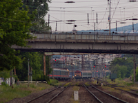 kép