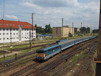 kép