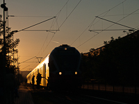 kép