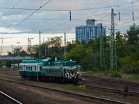 kép