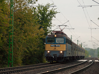 kép