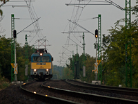 kép