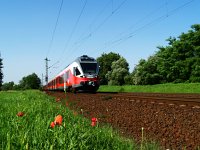 The 5341 018-9 near Kposztsmegyer