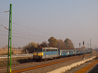 kép