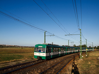 Az 1131-es MX/A sorozatú HÉV Pannóniatelep és Pomáz között, a háttérben Szentendrével