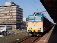 kép